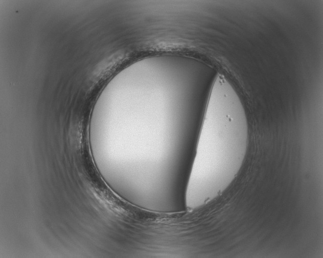 X0000078240640200611030920