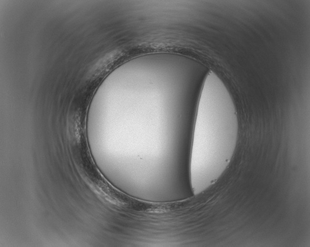 X0000078240644200611030920