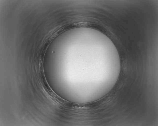 X0000078240645200611030920