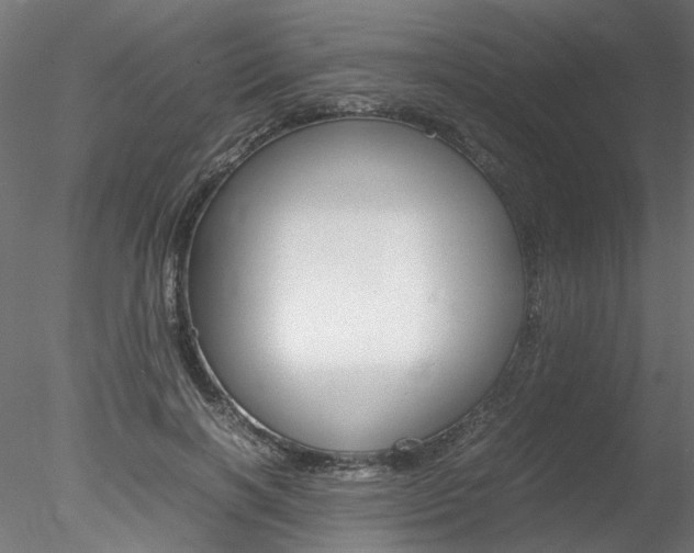 X0000078240646200611030920