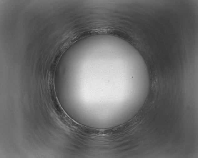 X0000078240647200611030920
