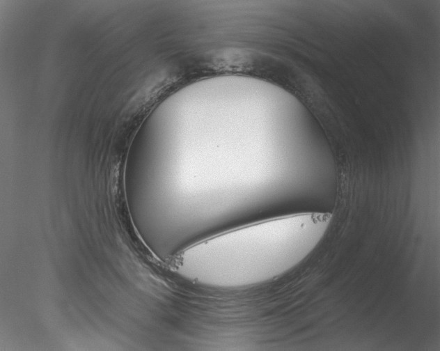 X0000078240652200611030920