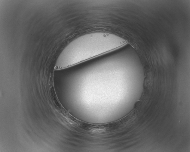 X0000078240653200611030920