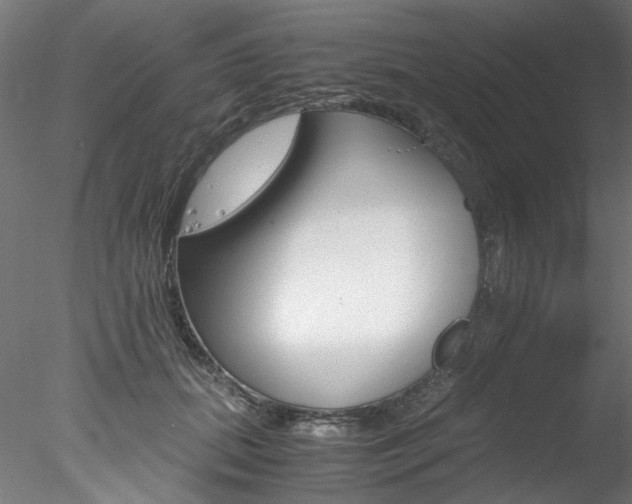 X0000078240655200611030920