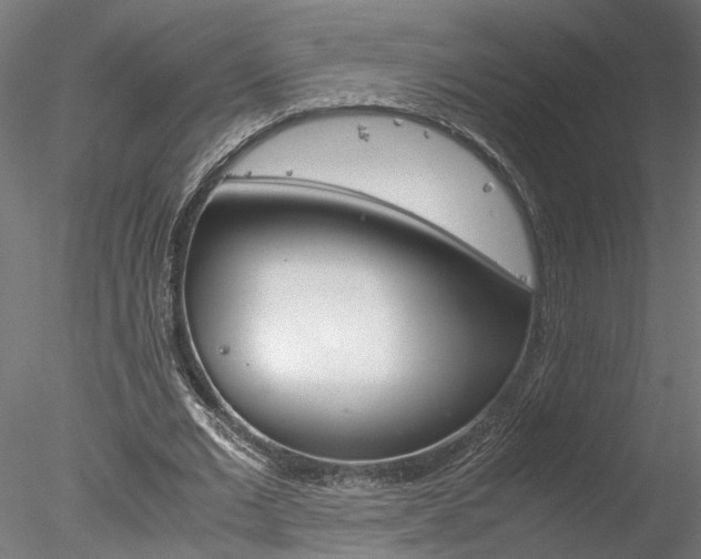 X0000078240677200611030920