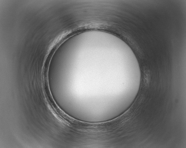 X0000078240678200611030920