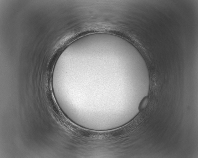 X0000078240679200611030920