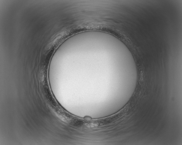 X0000078240687200611030920