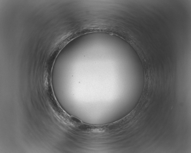 X0000078240692200611030920