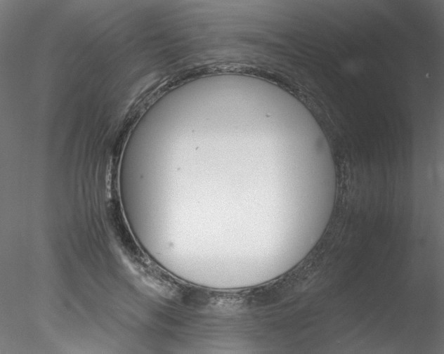 X0000078240694200611030920
