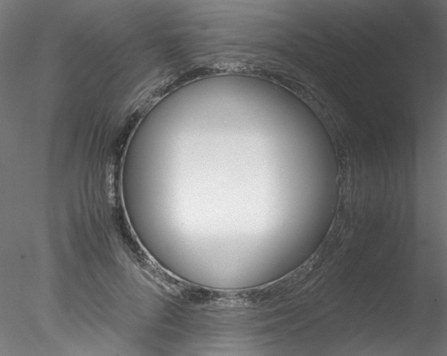 X0000078240696200611030920