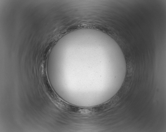 X0000078240703200611030919