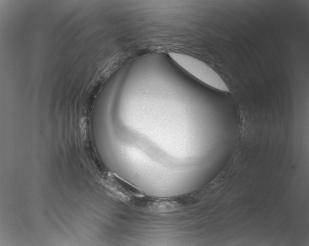 X0000078240716200611030919