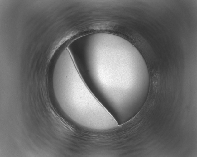 X0000078240727200611030918