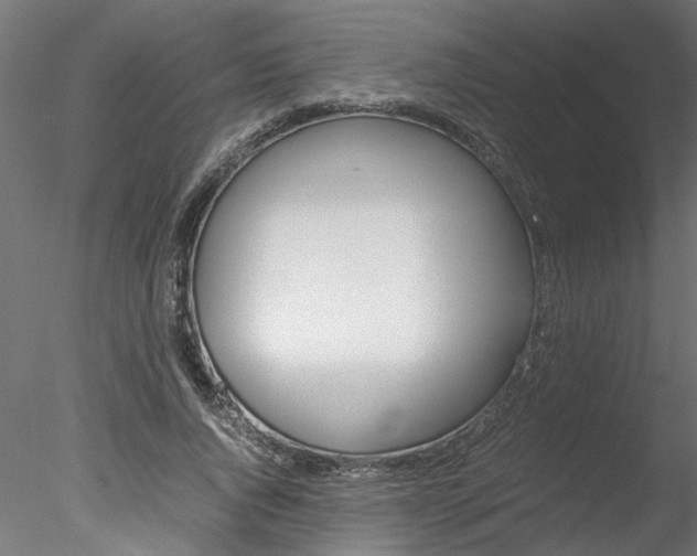 X0000078240736200611030919