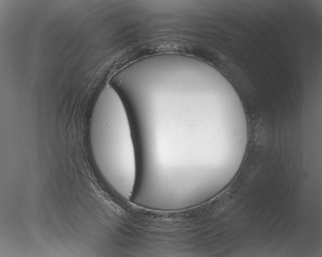 X0000078240737200611030919