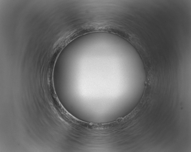 X0000078240740200611030919