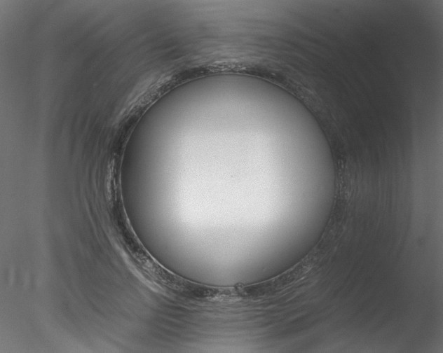 X0000078240742200611030919