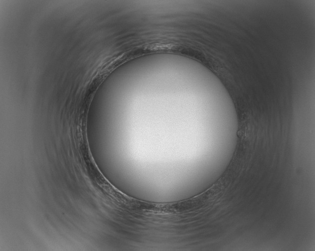 X0000078240743200611030919