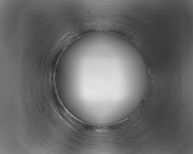 X0000078240744200611030919