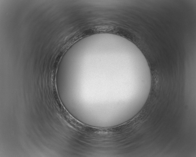 X0000078240745200611030919