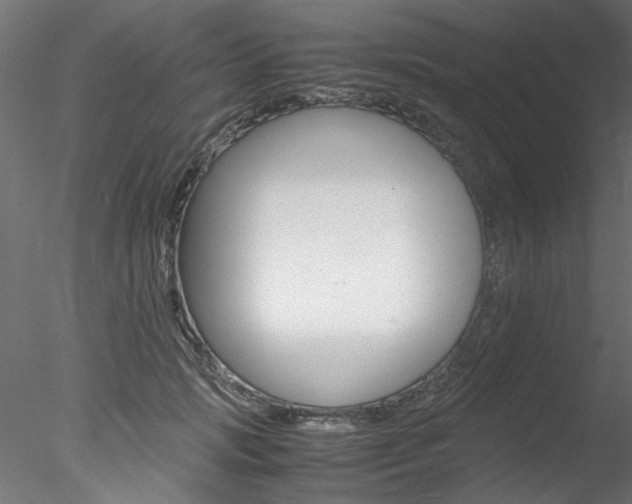 X0000078240749200611030919