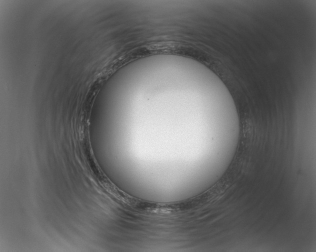 X0000078240751200611030919