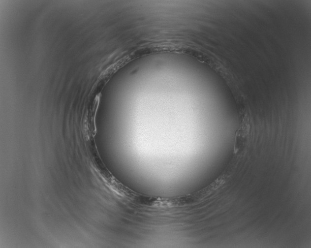 X0000078240764200611030919
