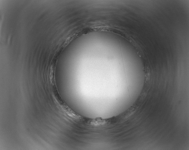 X0000078240767200611030919