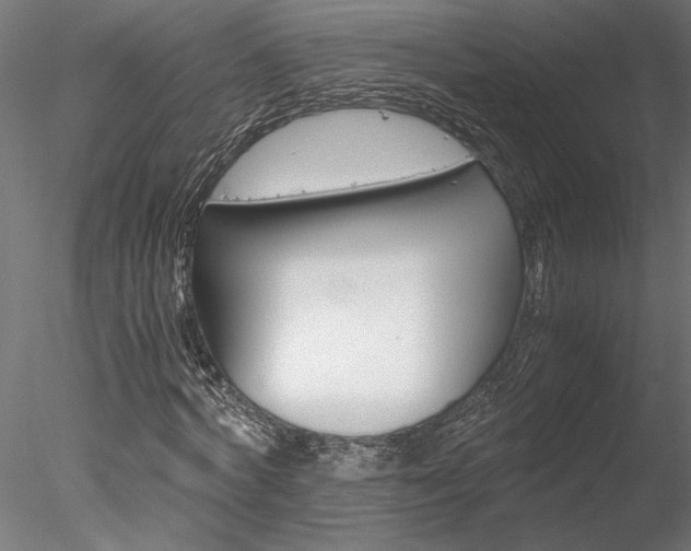 X0000078240772200611030918