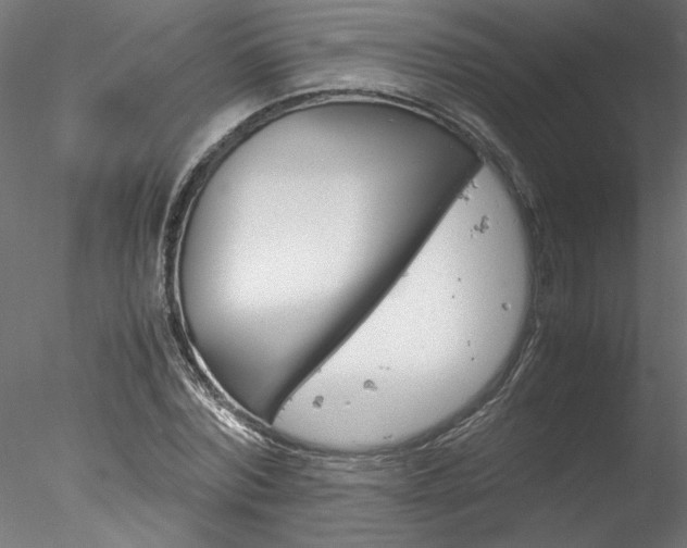 X0000078240780200611030918