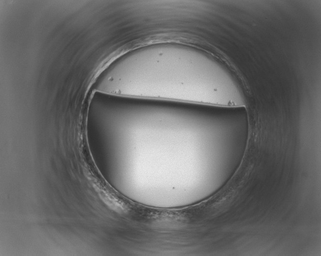 X0000078240786200611030918