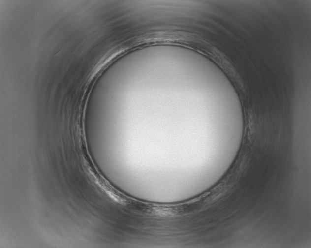X0000078240794200611030918