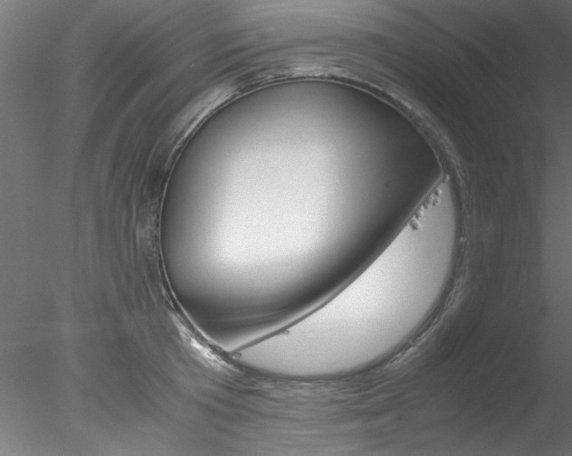 X0000078240801200611030918