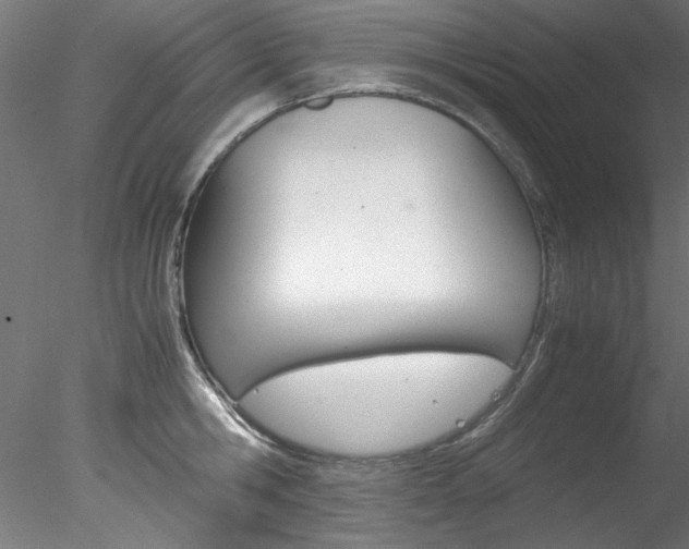 X0000078240806200611030918