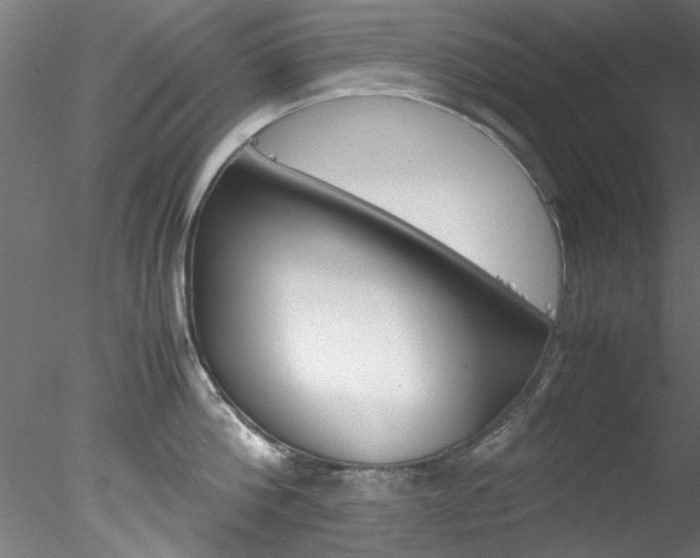 X0000078240812200611030918