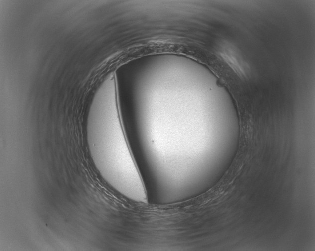 X0000078240821200611030917