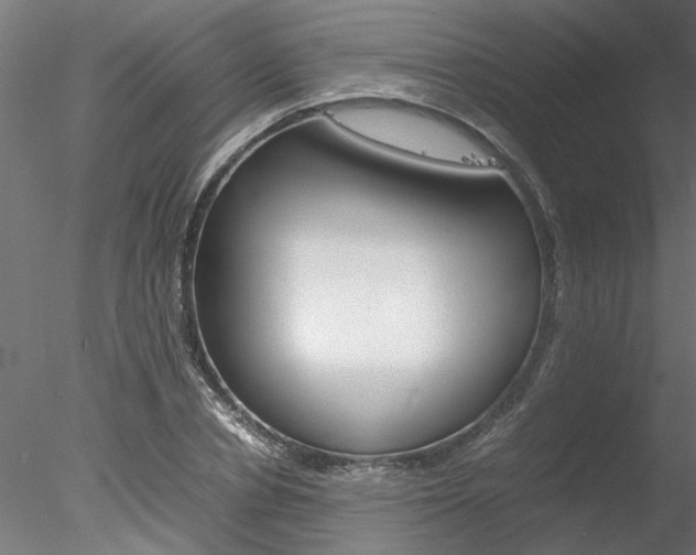 X0000078240834200611030917