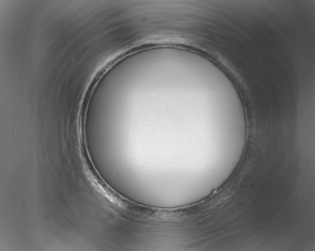 X0000078240840200611030917