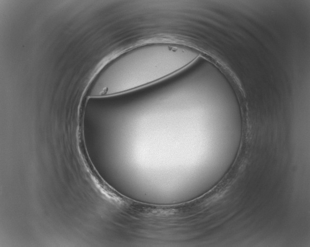 X0000078240845200611030917