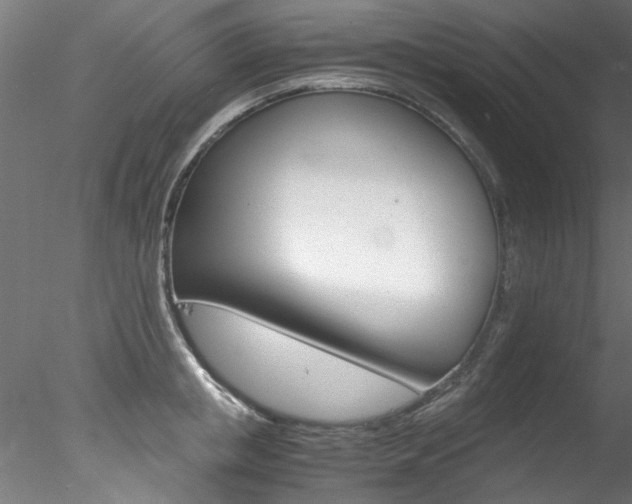 X0000078240853200611030917