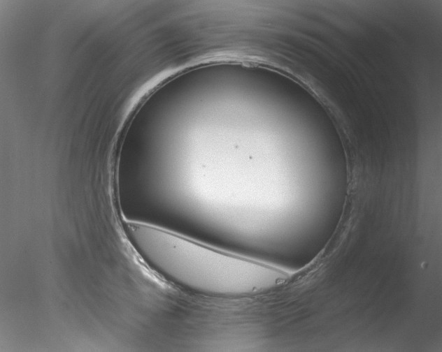 X0000078240854200611030917