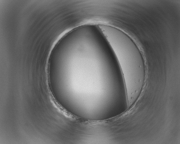 X0000078240864200611030917