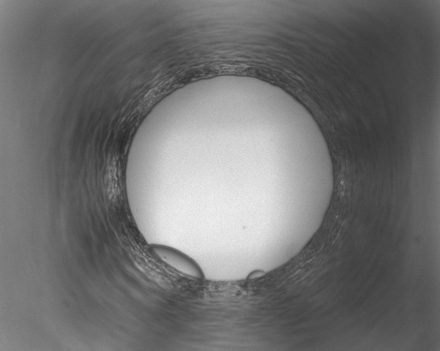 X0000078240866200611030917