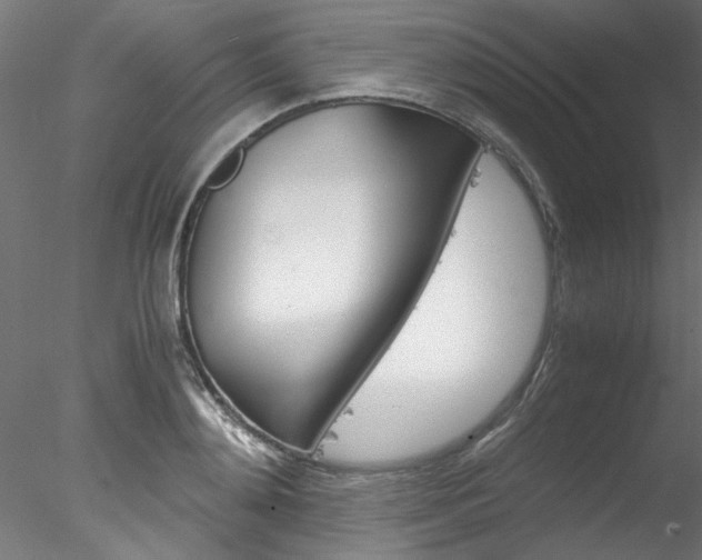 X0000078240892200611030916