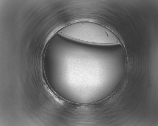 X0000078240898200611030916