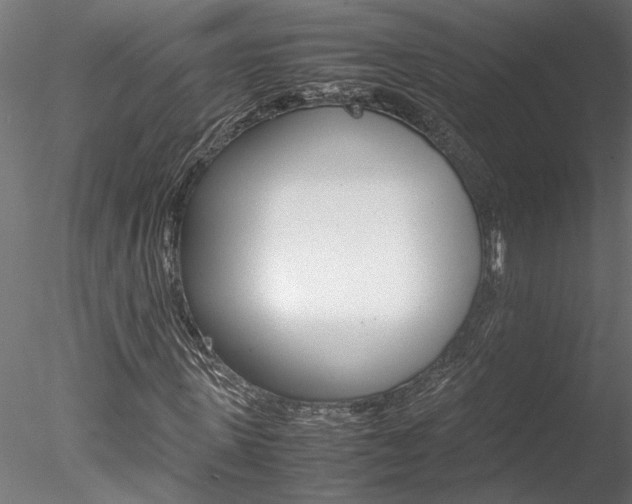 X0000078240915200611030915