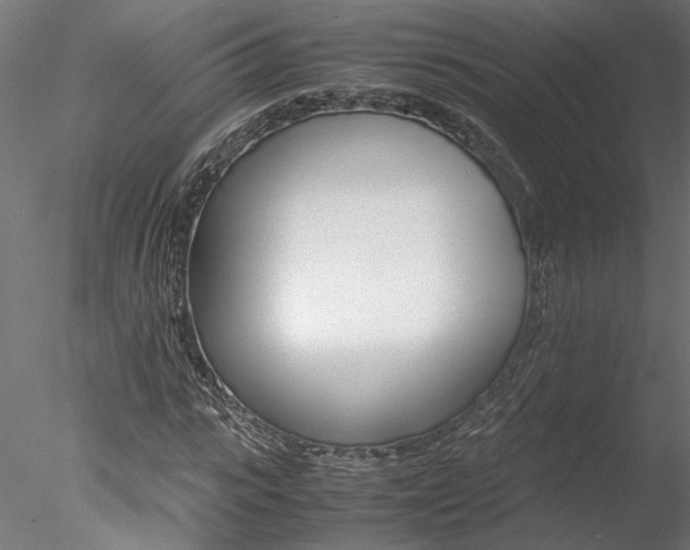 X0000078240919200611030915