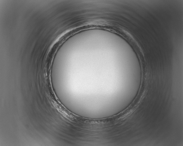 X0000078240923200611030915