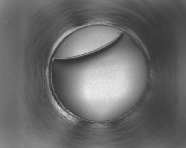 X0000078240947200611030916